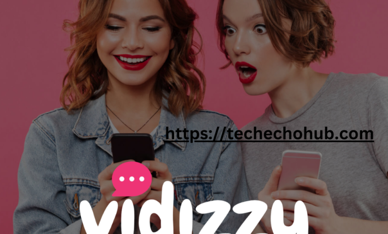 Vidizzy