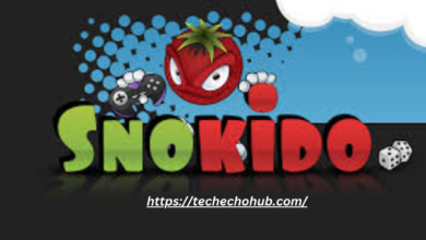 Snokido